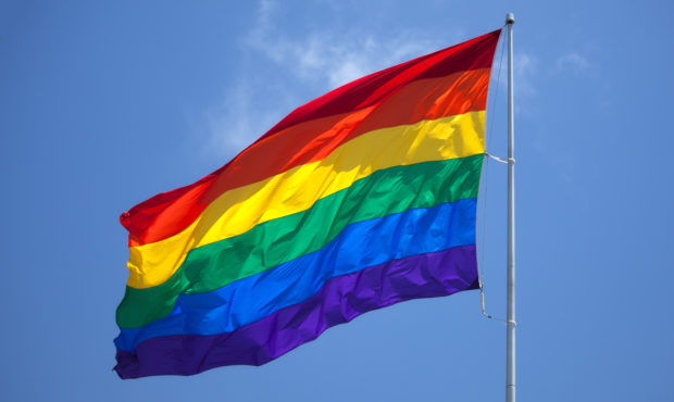 Davis Pride flag...