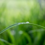 5 Ways You're Watering Your Lawn Wrong