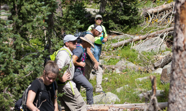 Volunteer searchers scour an area of the Uinta Mountains for missing hiker Ray Humpherys on July 21...