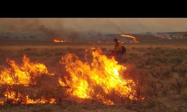 Nevada's China Jim Fire and the Goose Creek Fire combined Sunday evening, forming a fire that measu...