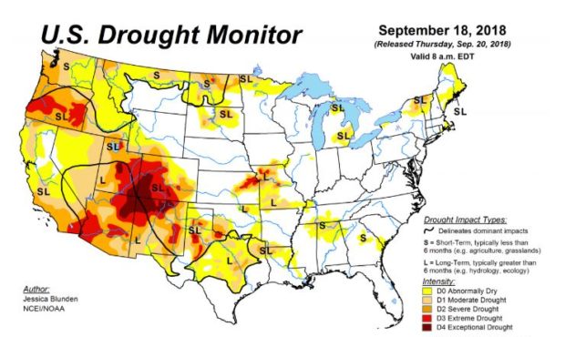 El Nino could bring drought relief...