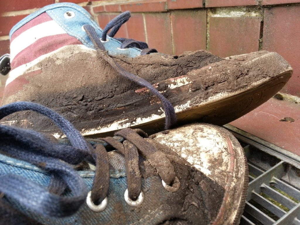 Fecal Matter on Shoes
