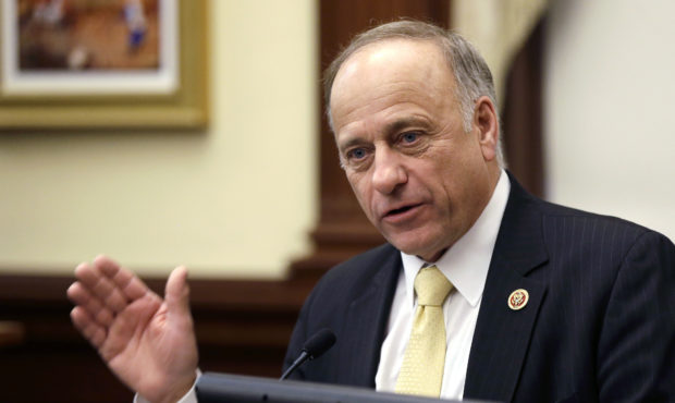 FILE - In this Jan. 23, 2014, file photo, Rep. Steve King, R-Iowa, of Iowa speaks in Des Moines. A ...