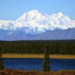 Home to North America's highest peak, Denali National Park protects six million acres of wild space, along with the moose and bears living there.