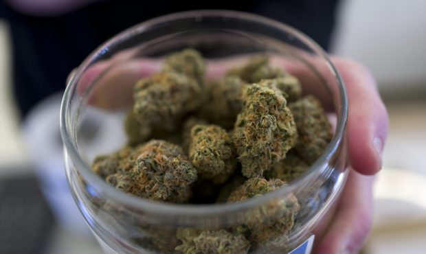 FILE - In this Feb. 7, 2019, file photo, a bud tender shows a top cannabis strain at Serra, a dispe...