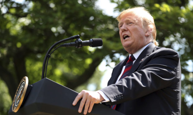 President Donald Trump speaks on immigration in the Rose Garden at the White House, Thursday, May 1...