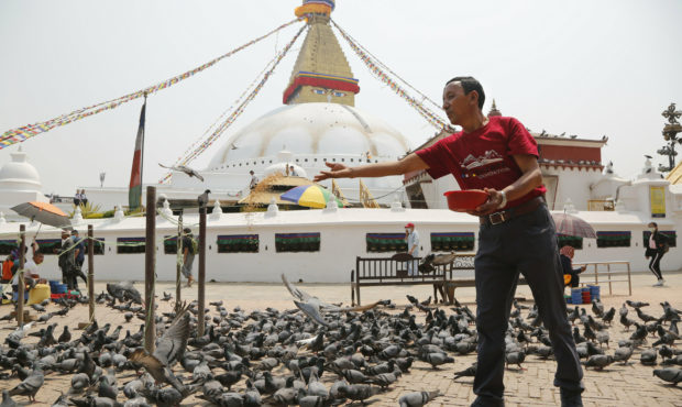 In this May 9, 2019 photo, Apa Sherpa feeds pigeons in Boudhanath Stupa in Kathmandu, Nepal. Apa Sh...