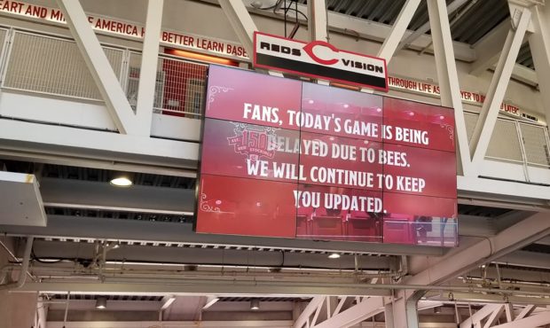 reds game delay bees...