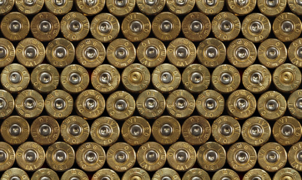ammunition ammo gun background checks...