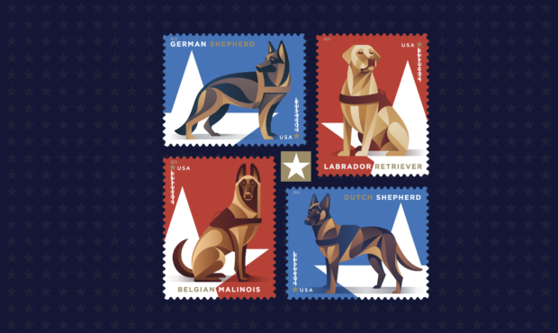 The USPS is issuing new FOREVER stamps to honor military working dogs. Photo: USPS...