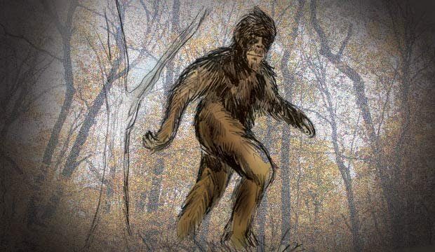 Seen is a TV5 artist's rendering of Bigfoot. A couple camping at a national park in Kentucky said t...