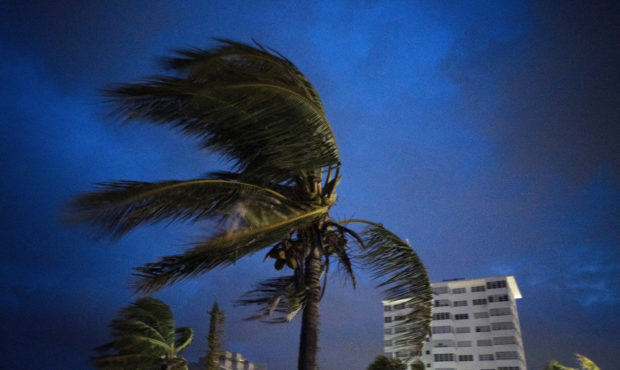 Strong winds move the palms of the palm trees at the first moment of the arrival of Hurricane Doria...