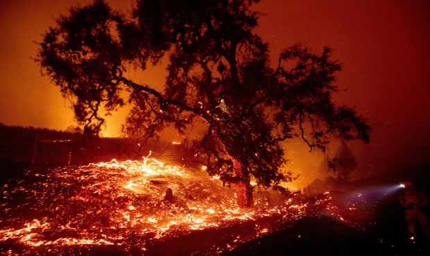 Embers fly from a tree as the Kincade Fire burns near Geyserville, Calif., on Thursday, Oct. 24, 20...