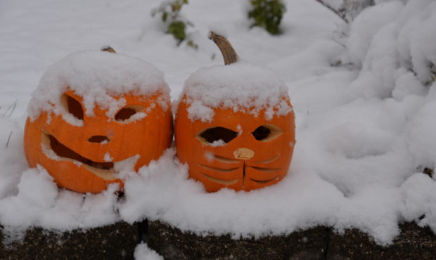 Two pumpkins covered with snow for a cold Halloween night (Photo courtesy of Getty)...