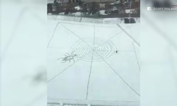 An artistic rendering of the winter spider wonderland! (Photo credit: CNN)...
