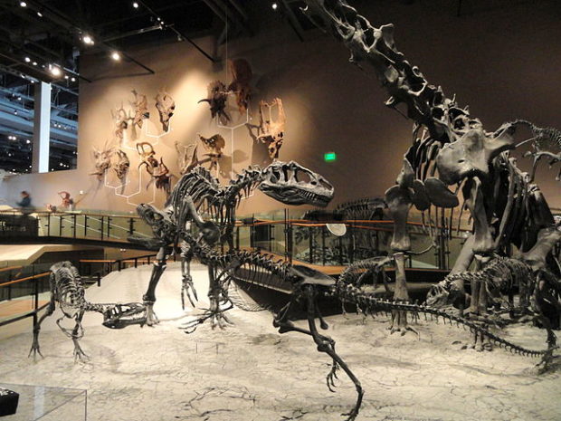 Natural History Museum Of Utah Dinosaurs