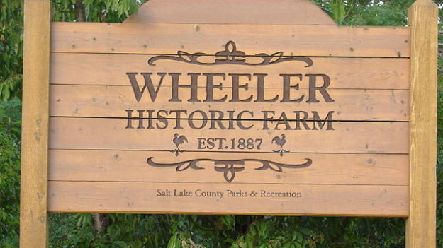 Wheeler Farm starts a project to take down 130 trees....