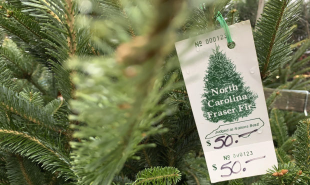 In this Monday, Dec. 9, 2019, photo, a North Carolina fraser fir Christmas tree is for sale in Leno...