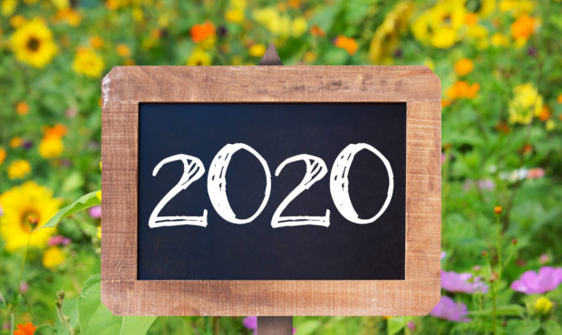 2020 written on a rustic wooden board, summer sunflowers and wild flowers in the background...