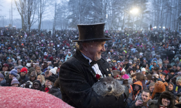 Groundhog predicts early spring...