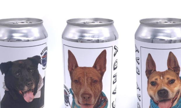 Beer cans from Motorworks Brewery show shelter dogs on the label, including an image of Hazel (righ...