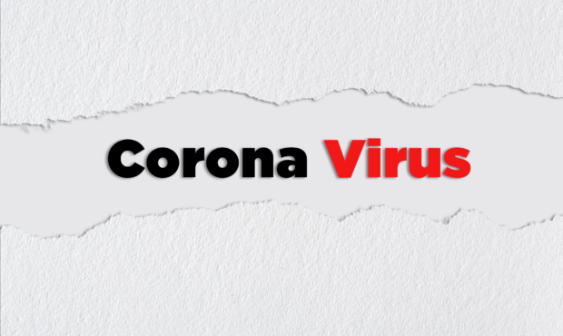White house new coronavirus recommendations...