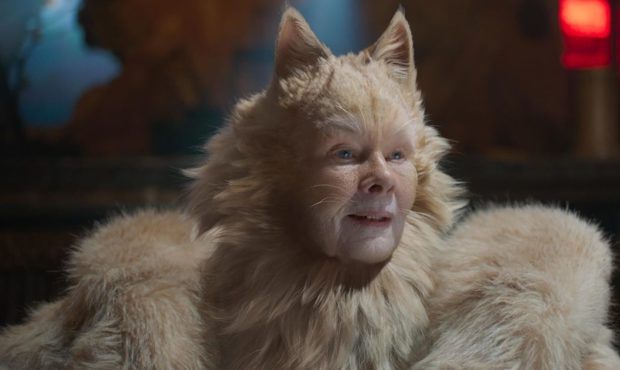 Dame Judi Dench says she has not seen the critically panned movie "Cats," but only a picture of her...