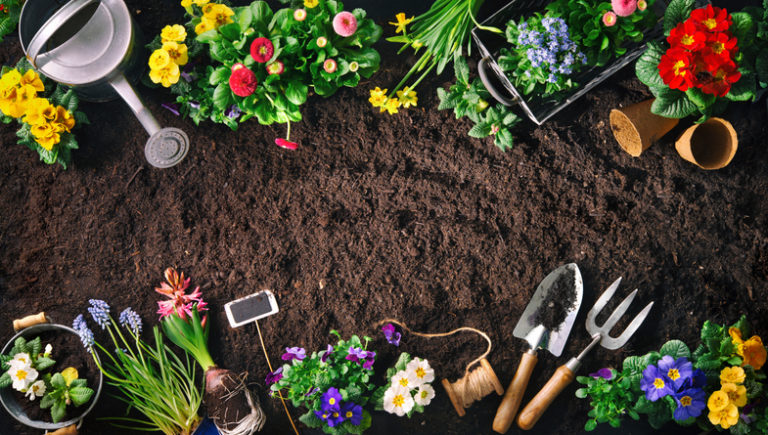 Outdoor Gardening - the Perfect Social Distancing Activity For Your Family