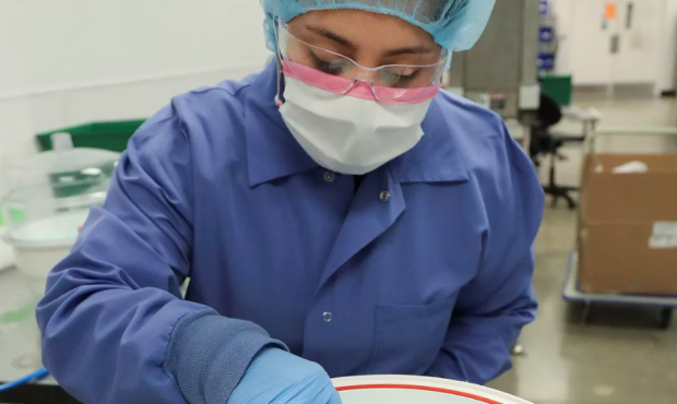 Valery Leon prepares saliva collection devices at Spectrum DNA in Draper on Tuesday, April 7, 2020....
