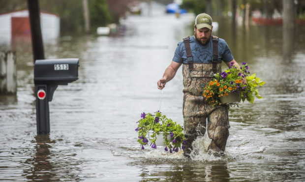 Tyler Marciniak, of Grand Rapids, carries hanging plants through floodwaters as he helps his father...