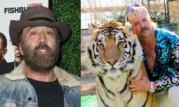 Nicolas Cage has been tapped to star as Tiger King Joe Exotic in a TV miniseries. Photos Getty / Ne...