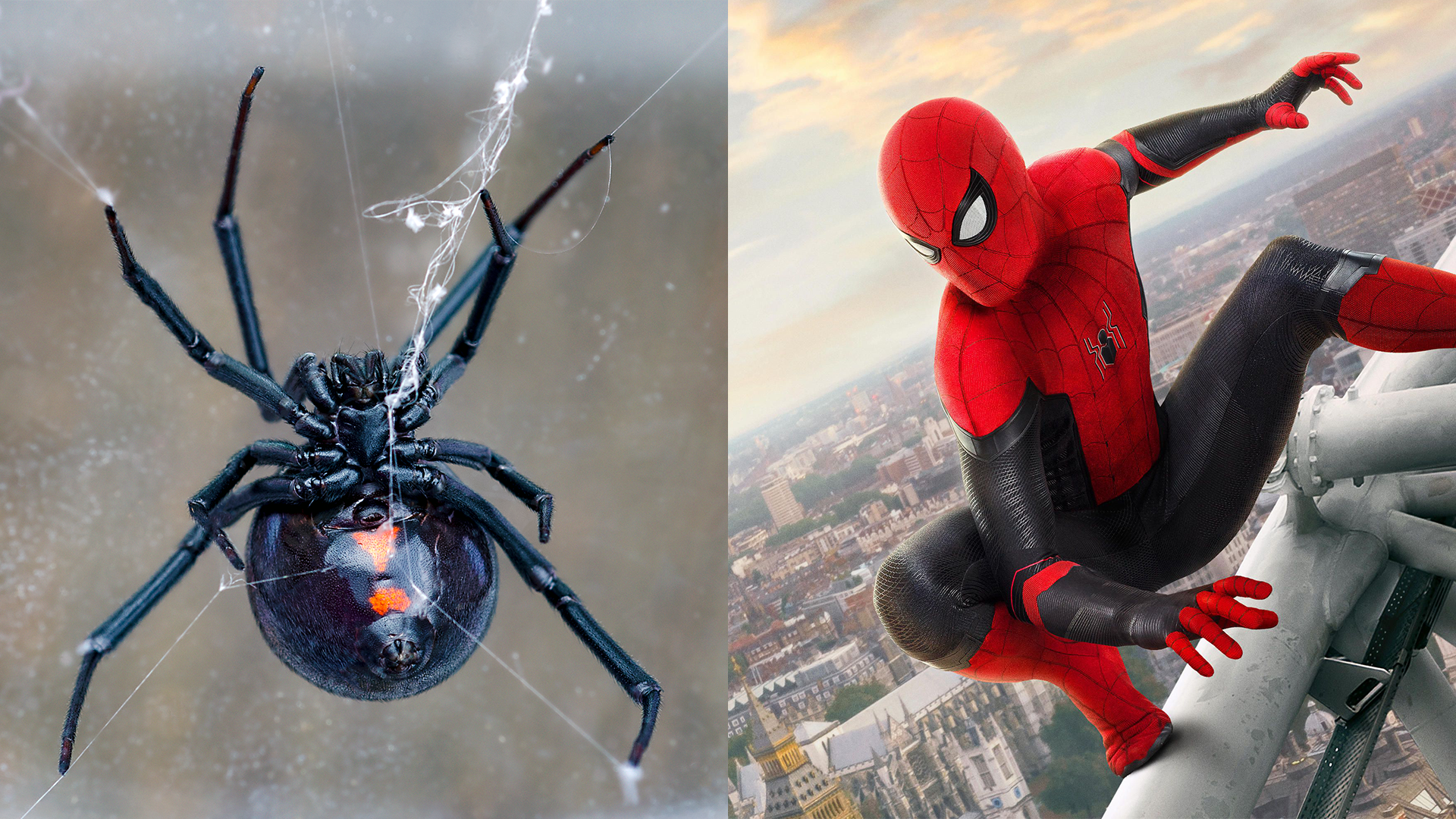 Marvel's Spider-Man 2 review: A more Venom-ous bite