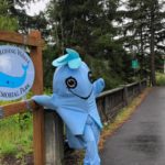Exploding Whale Memorial Park - a blast from the past is memorialized in a new park