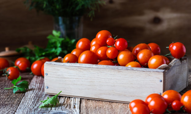 Crate of freshly picked organic red cherry  tomatoes on rustic wooden table, plant based food, clos...