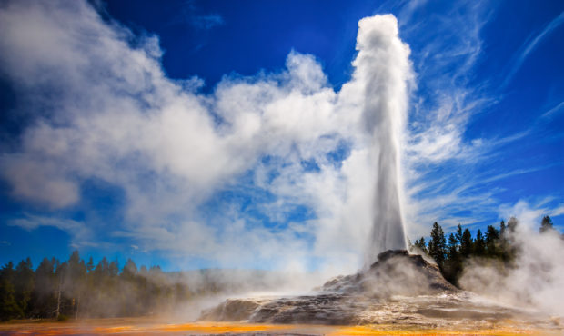 Castle Geyser erupting in Yellowstone in strong back light. Photo courtesy - Getty Images...