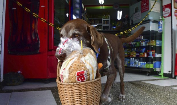 Eros carries a basket with bread as he leaves the El Porvenir mini-market to make a delivery on his...