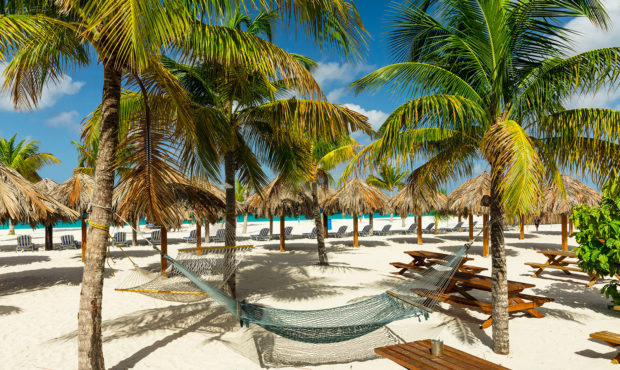 Hammocks and sunbeds under the palm trees on exotic Barbados beach in the Carribean.
Credit:	zstock...