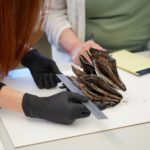 Emiline Twitchell, a conservator at the Church History Library, analyzes the copy of Parley P. Pratt’s "A Voice of Warning" that is fused with a copy of the Book of Mormon. The books were found inside the capstone of the Salt Lake Temple.
| Intellectual Reserve