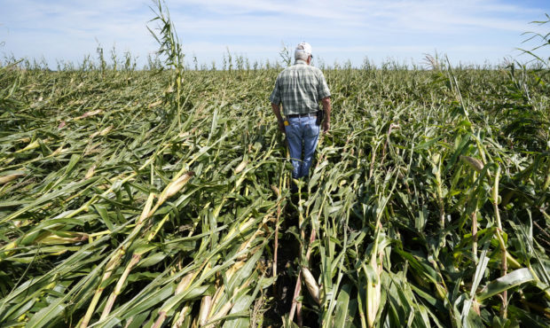 Iowa corn soy crops...