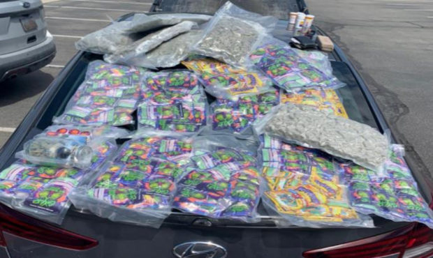 Almost half a million dollars of drugs seized....