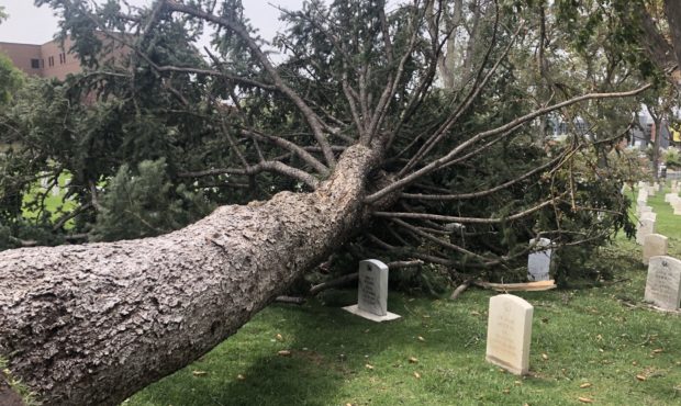FILE: High winds toppled trees that had stood for decades at the Ft. Douglas Post Cemetery, damagin...