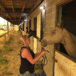 Lori Kauwe of Salem, Ore., attends on Wednesday, Sept. 9, 2020, to one of hundreds of horses that were evacuated from wildfires in Oregon and brought to the Oregon State Fairgrounds in Salem, Ore. Hundreds of horses have been brought to the fairgrounds in Salem by people fleeing the fires, along with llamas, goats and other animals. The Red Cross is helping people at the fairgrounds, which has been turned into an evacuation center. (AP Photo/Andrew Selsky)