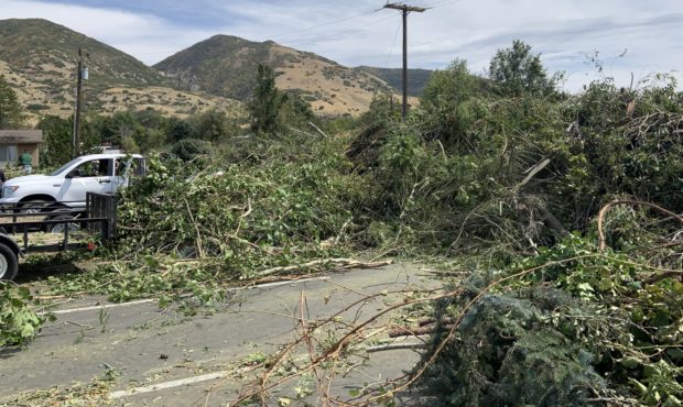 fallen trees windstorm, Utah National Guard helps clean up after brutal windstorm...