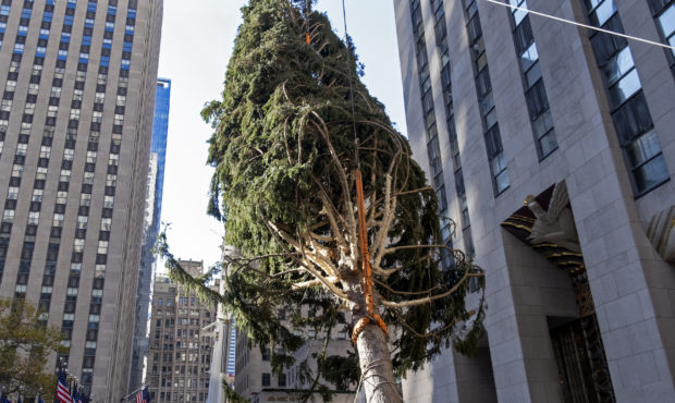 Rockefeller Center Christmas tree arrives; lighting Dec. 2...