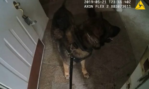 West Valley City Police release several K9 videos...