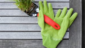 Last minute gifts for gardeners