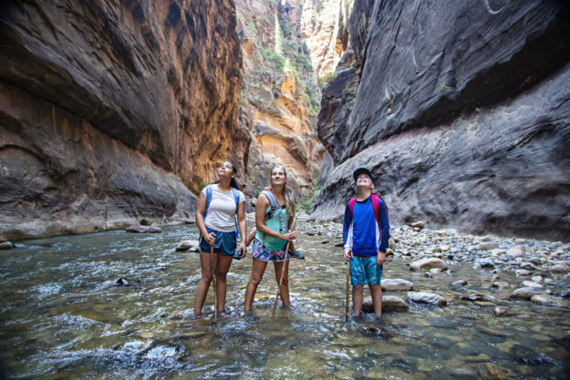 Zion National Park - Look Forward To