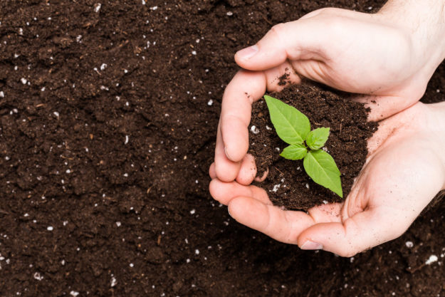 how to improve garden soil near me - Compost