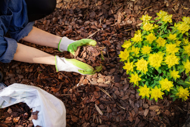 How to Improve Garden Soil - Mulch