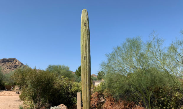 A 4G and 5G capable cactus in the Scottsdale, Arizona area built by Valmont Industries
Credit:	Valm...